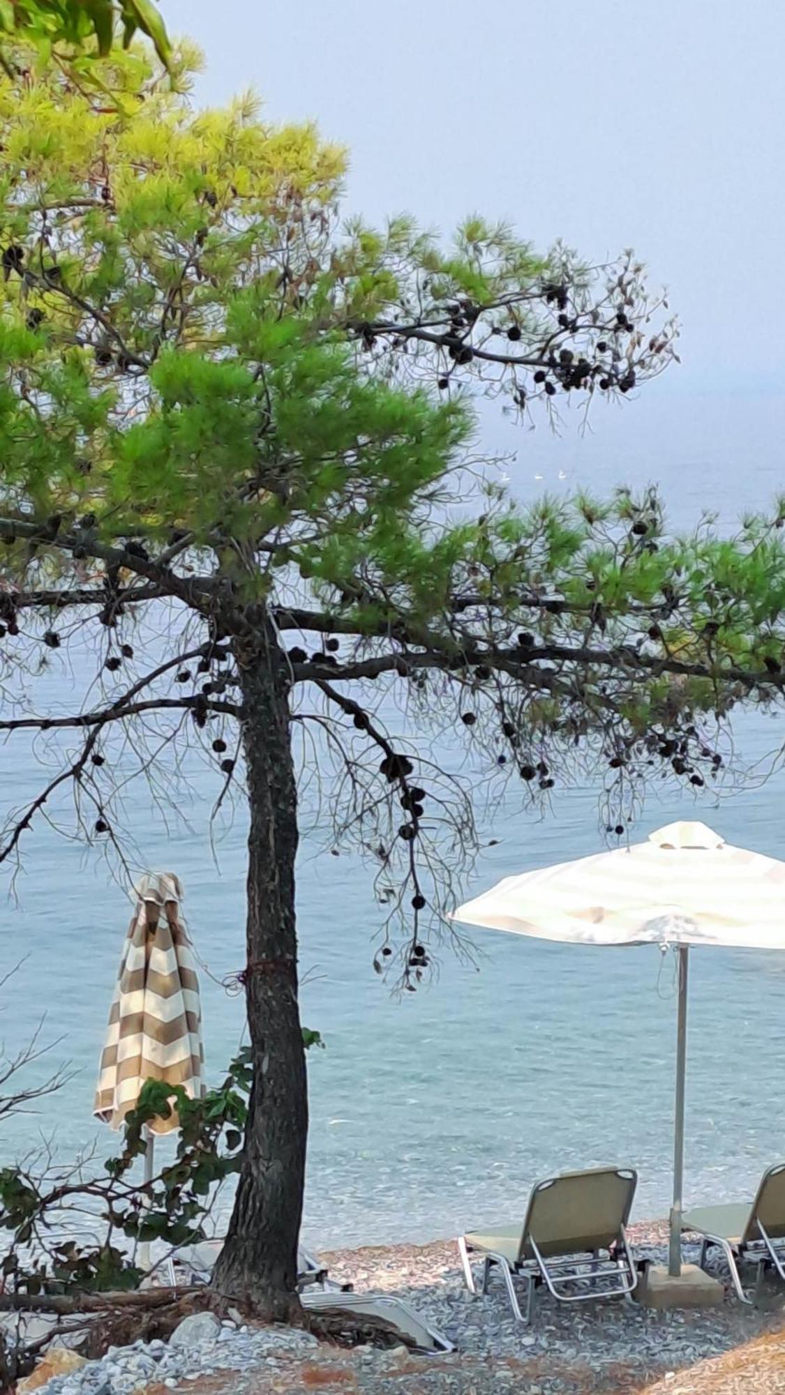 Nama Beach House Arkadiko Chorio Exterior foto