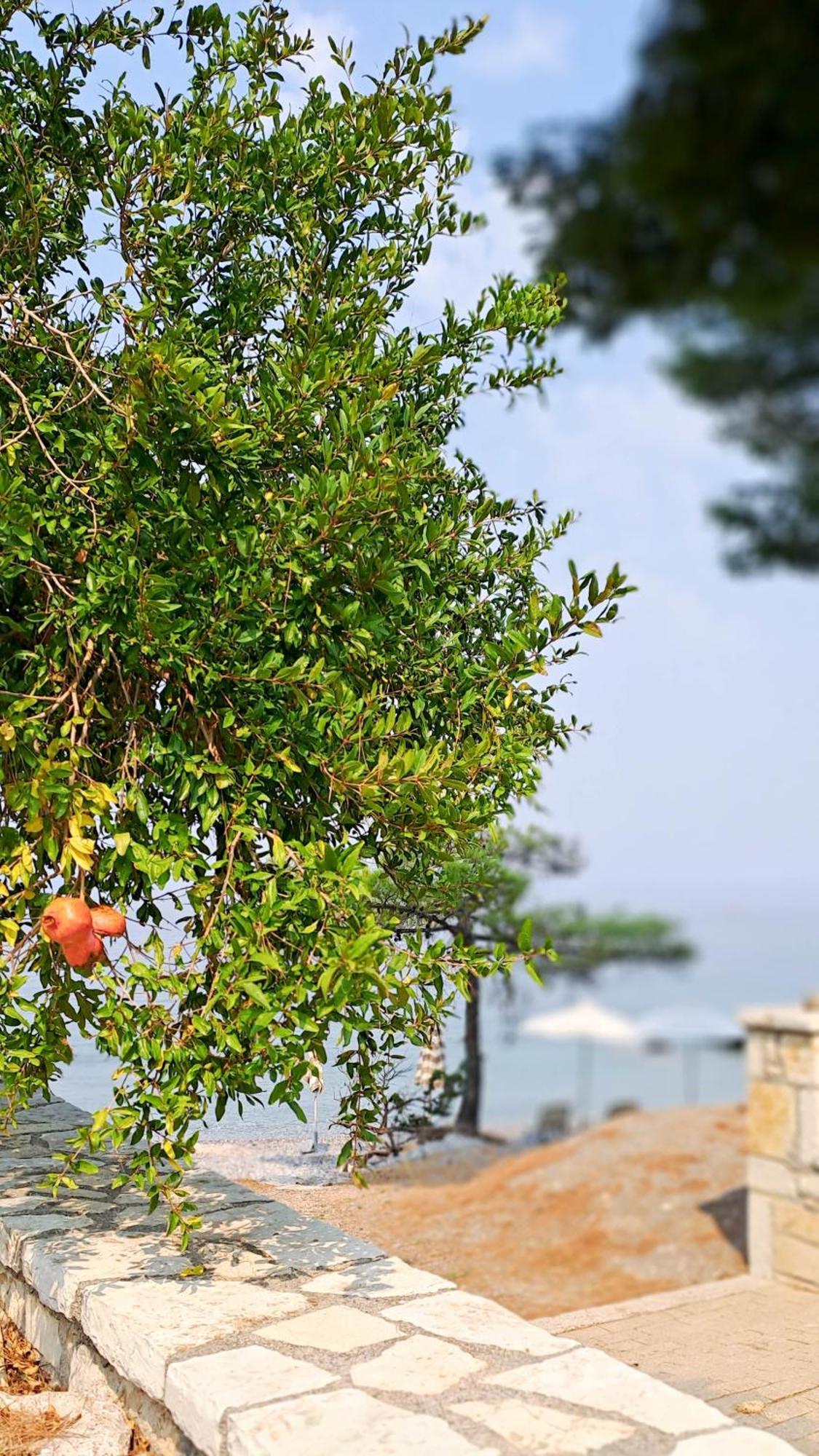 Nama Beach House Arkadiko Chorio Exterior foto